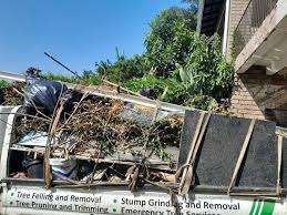 Best Demolition Debris Removal  in Benavides, TX